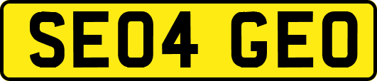 SE04GEO