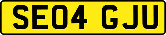 SE04GJU