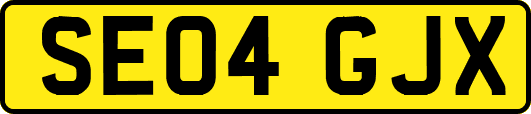 SE04GJX