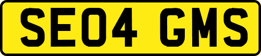 SE04GMS