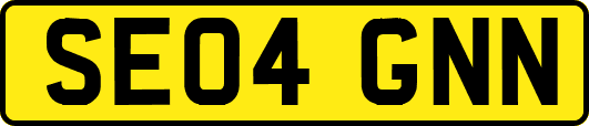SE04GNN