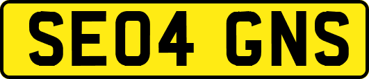 SE04GNS