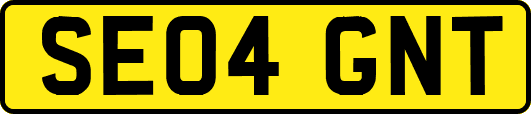 SE04GNT