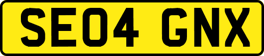 SE04GNX
