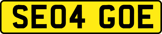 SE04GOE