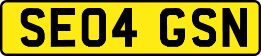 SE04GSN