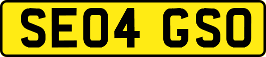 SE04GSO
