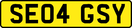 SE04GSY