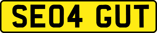 SE04GUT
