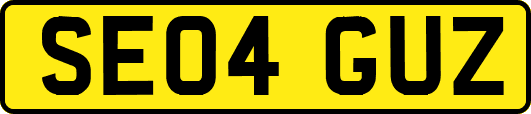 SE04GUZ