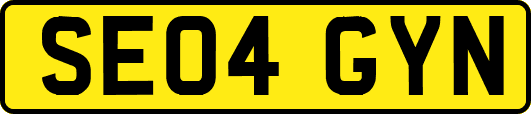 SE04GYN