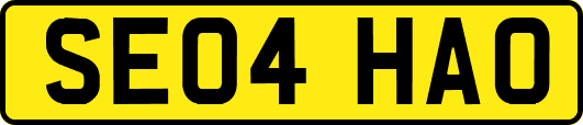 SE04HAO