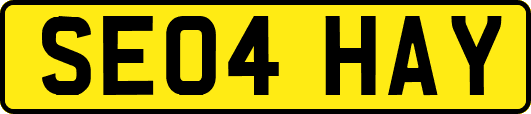 SE04HAY