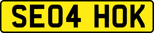 SE04HOK
