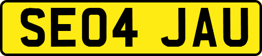 SE04JAU