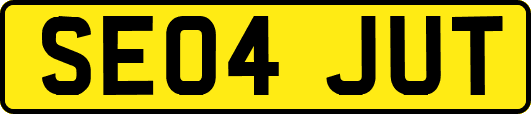 SE04JUT