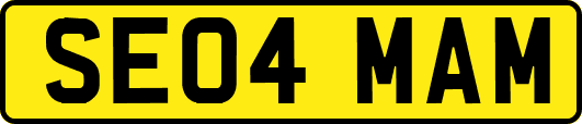 SE04MAM