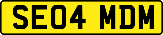 SE04MDM