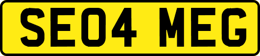 SE04MEG