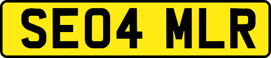 SE04MLR
