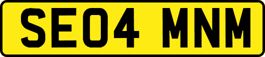 SE04MNM