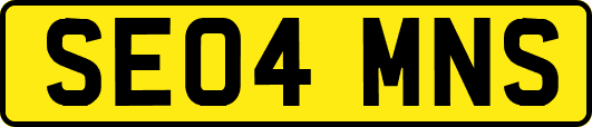 SE04MNS