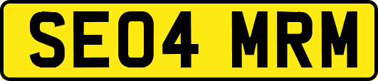 SE04MRM