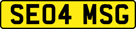SE04MSG