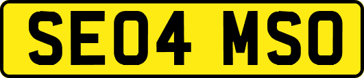 SE04MSO