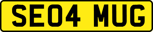 SE04MUG