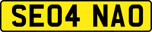 SE04NAO