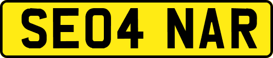 SE04NAR