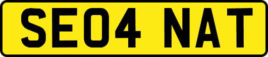 SE04NAT