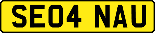 SE04NAU