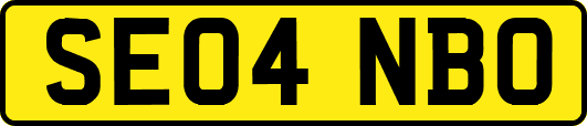 SE04NBO