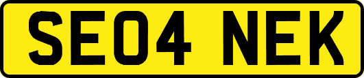 SE04NEK