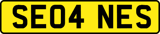 SE04NES