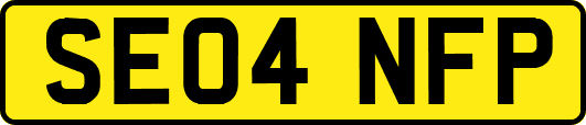 SE04NFP