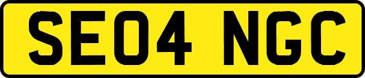 SE04NGC