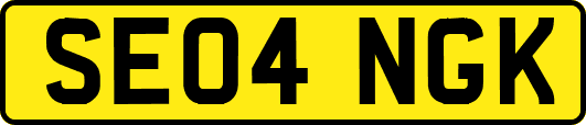 SE04NGK