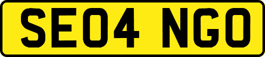 SE04NGO