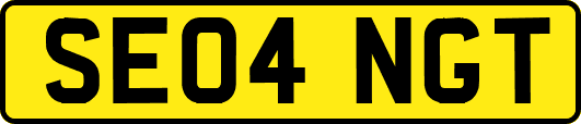 SE04NGT