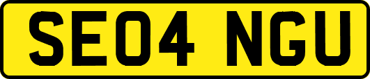 SE04NGU