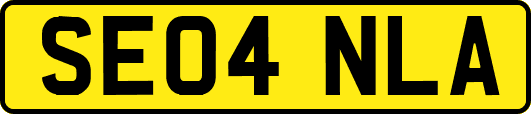 SE04NLA