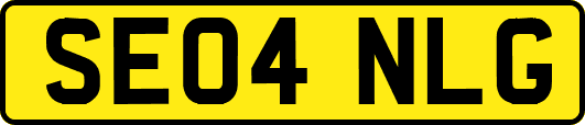 SE04NLG