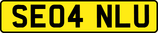 SE04NLU