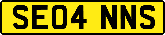 SE04NNS