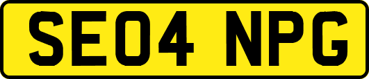 SE04NPG