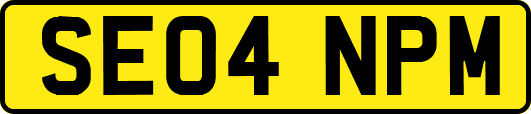 SE04NPM