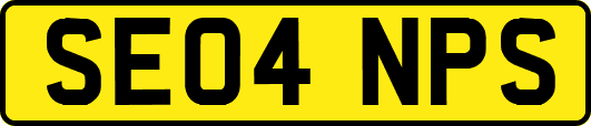 SE04NPS